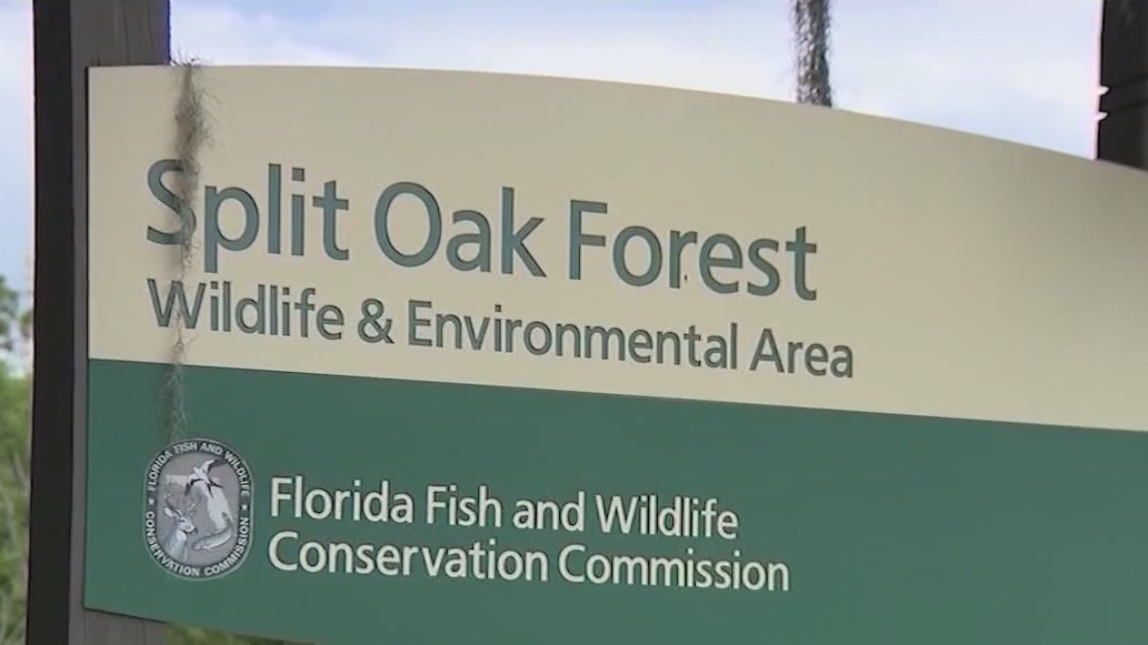 Toll road project advances despite opposition